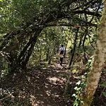 Sitio De Froufe