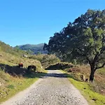 Sitio De Froufe * Tamente