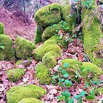 Sitio De Froufe Nyaraló Tamente