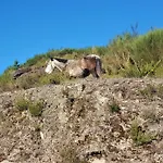 Nyaraló Sitio De Froufe