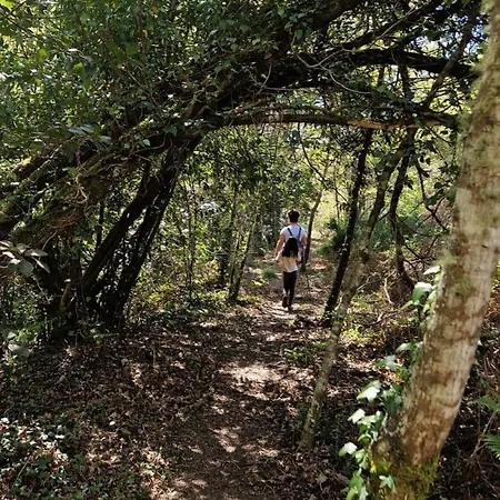 Sitio De Froufe