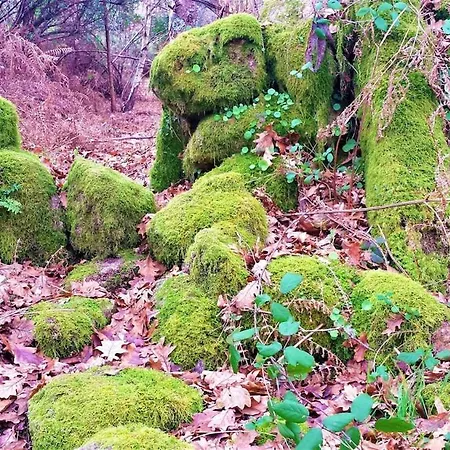 Sitio De Froufe Prázdninový dům Tamente