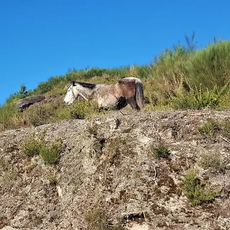 Prázdninový dům Sitio De Froufe
