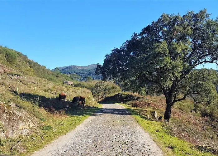 Sitio De Froufe * Tamente