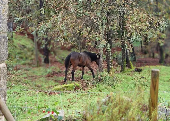 Sitio De Froufe Dom wakacyjny *