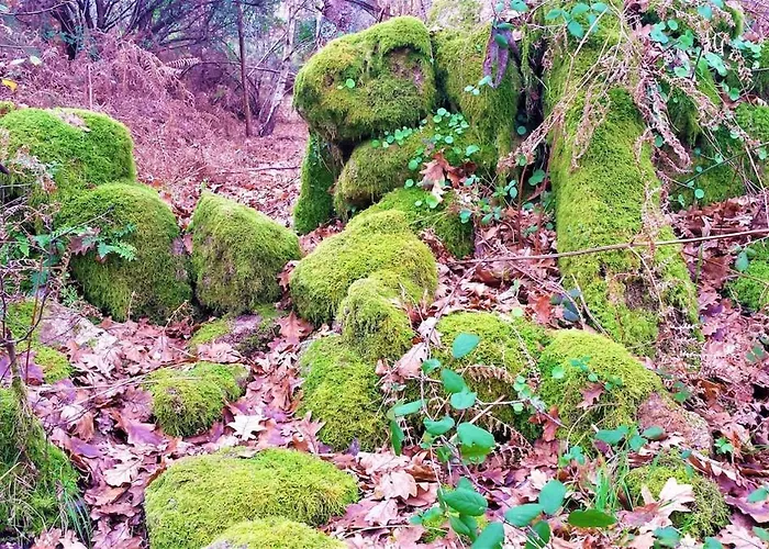 Sitio De Froufe Dom wakacyjny Tamente