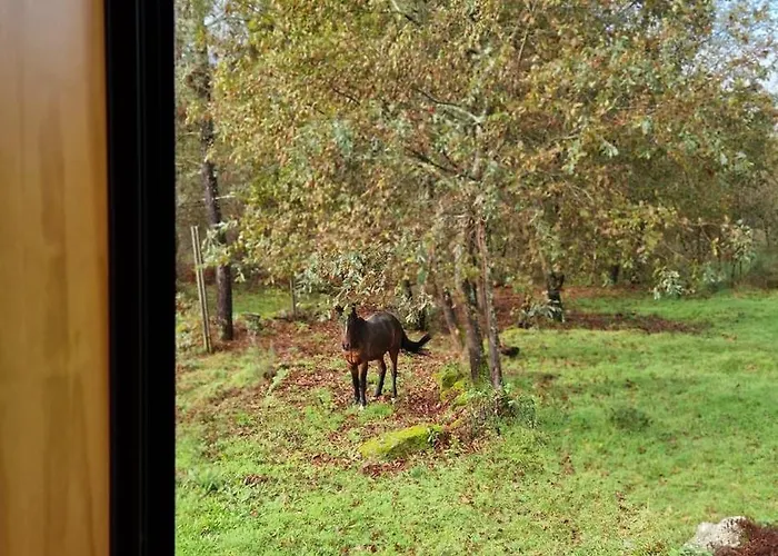 Sitio De Froufe Dom wakacyjny Tamente